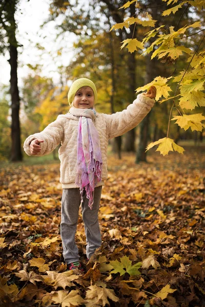 Liten Flicka Spelar Med Blad Höst Park — Stockfoto