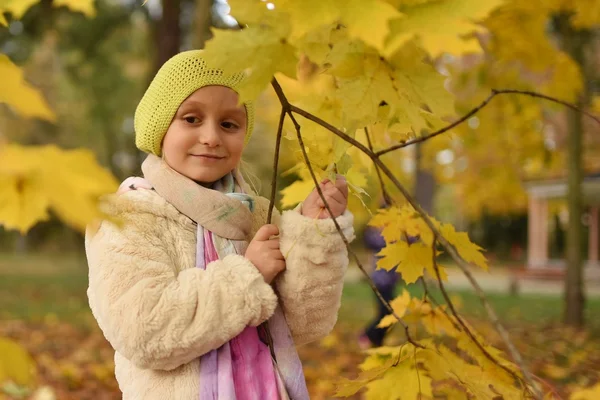 Klein Meisje Spelen Met Bladeren Herfst Park — Stockfoto