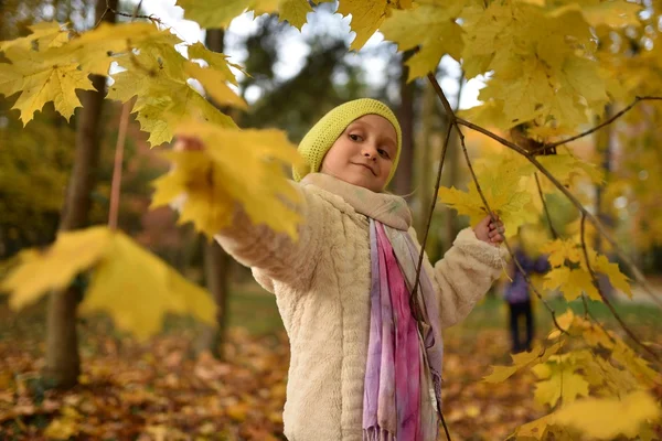 Klein Meisje Spelen Met Bladeren Herfst Park — Stockfoto