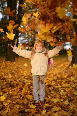 yapraklar sonbaharda parkta oynarken küçük kız