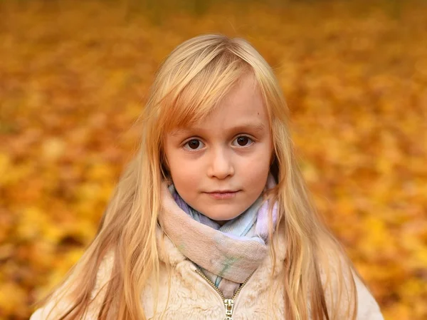 Портрет Маленької Дівчинки Осінньому Парку — стокове фото