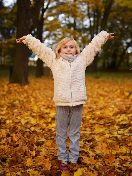 Liten Flicka Spelar Med Blad Höst Park — Stockfoto