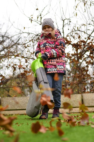 Jong Meisje Met Bladblazer Herfst — Stockfoto