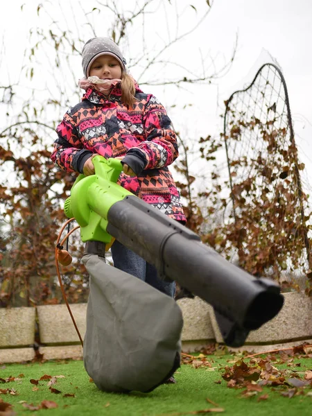 Young Girl Leaf Blower Autumn — Stock Photo, Image
