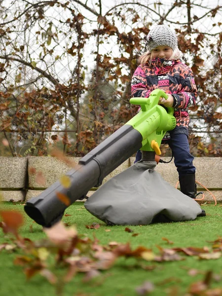 Jong Meisje Met Bladblazer Herfst — Stockfoto