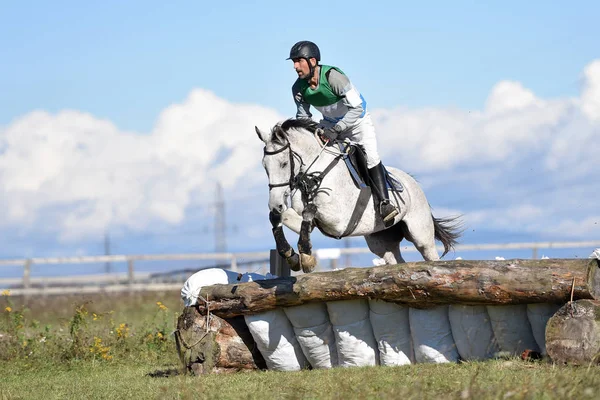 Equitação Foto Temática Esportes Equestres — Fotografia de Stock