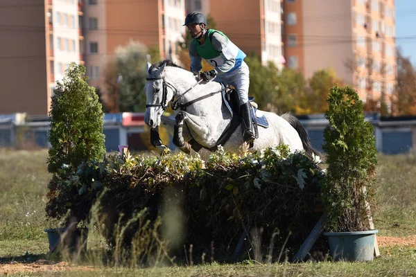 Équitation Thème Photo Sports Équestres — Photo