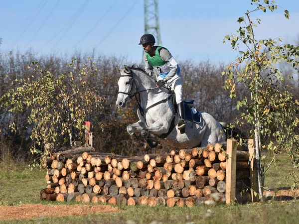 Equitação Foto Temática Esportes Equestres — Fotografia de Stock