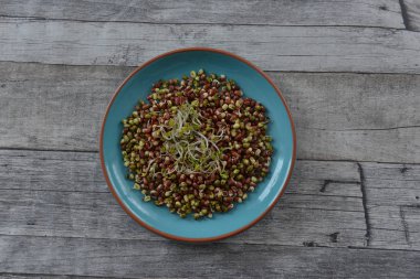 Fasulye salatası tabakta.
