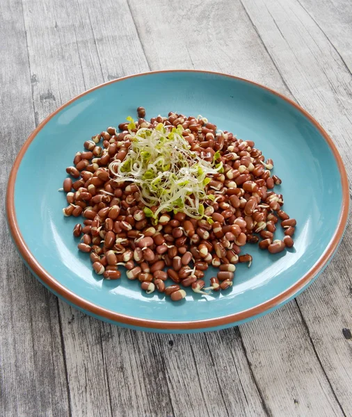 Fasulye Salatası Tabakta — Stok fotoğraf