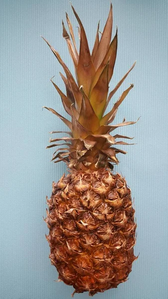 Ananas Fondo Blu — Foto Stock