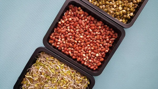 Fresh mungo bean — Stock Photo, Image