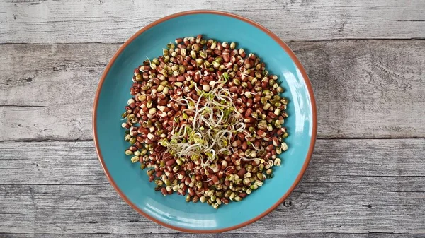 Färsk mungo bean — Stockfoto