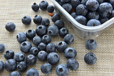  tablo üzerinde çekilen yaban mersini