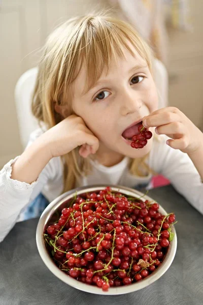 Happy Little Girl Fresh Red Currants Plate — Stock Photo, Image