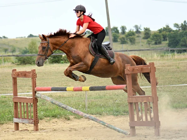 Femme jockey sur son cheval — Photo