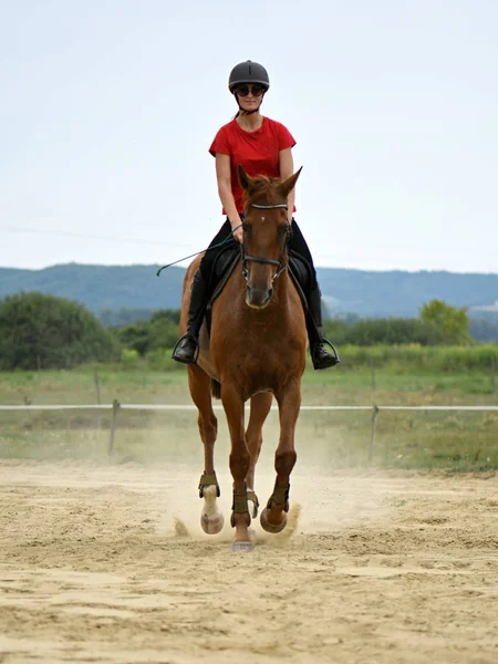 Femme jockey sur son cheval — Photo