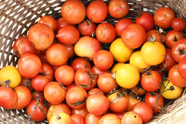 fresh tomatoes on a market