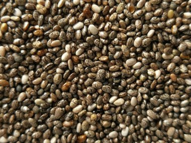 Closeup Chia tohum 