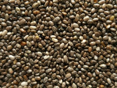 Closeup Chia tohum 