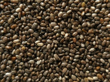 Closeup Chia tohum 