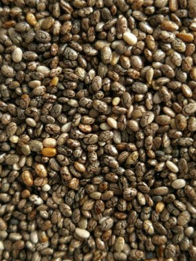 Closeup Chia tohum 