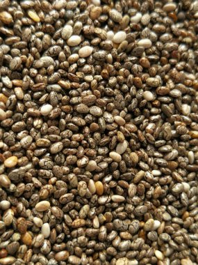 Closeup Chia tohum 