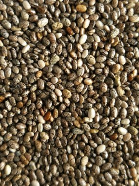 Closeup Chia tohum 