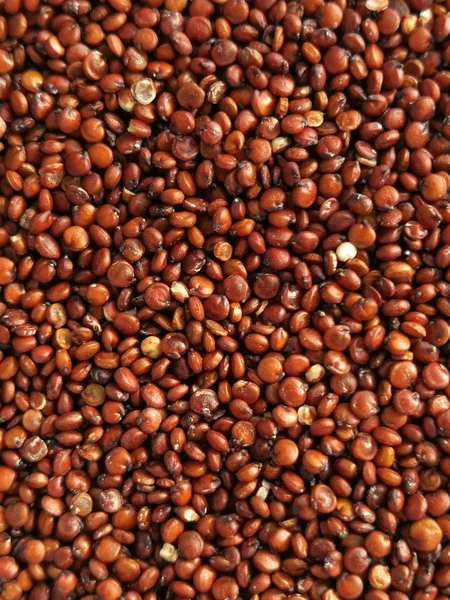 Close Quinoa Seeds — Stock Photo, Image