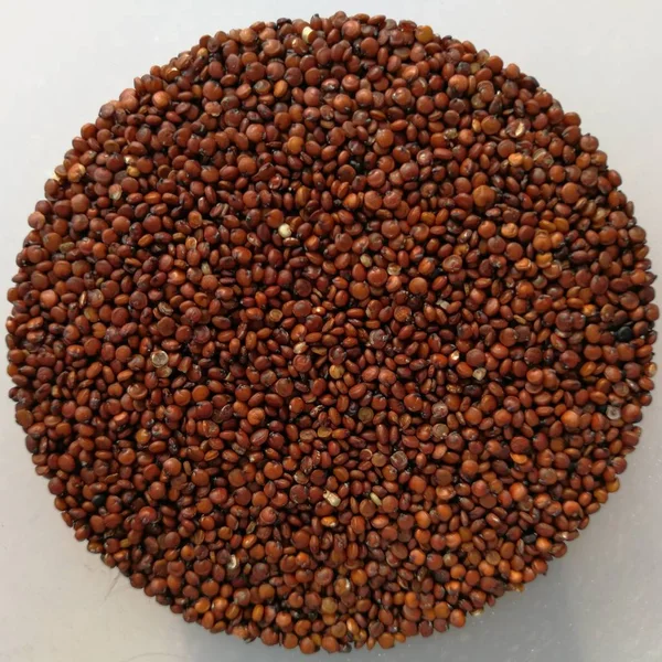 Close Sementes Quinoa — Fotografia de Stock