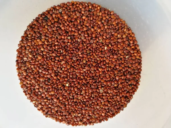 Quinoa Vetőmagok Közelsége — Stock Fotó