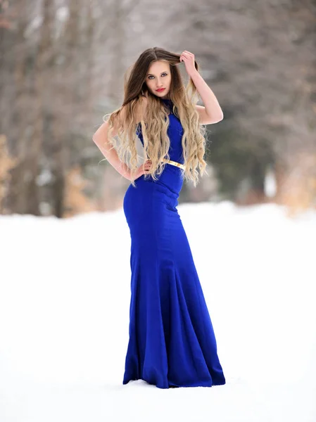 Retrato Bela Jovem Mulher Vestido Azul Posando Inverno Livre Rainha — Fotografia de Stock