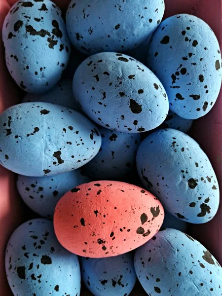 Перепелка Пасхальные Яйца Закрыть — стоковое фото