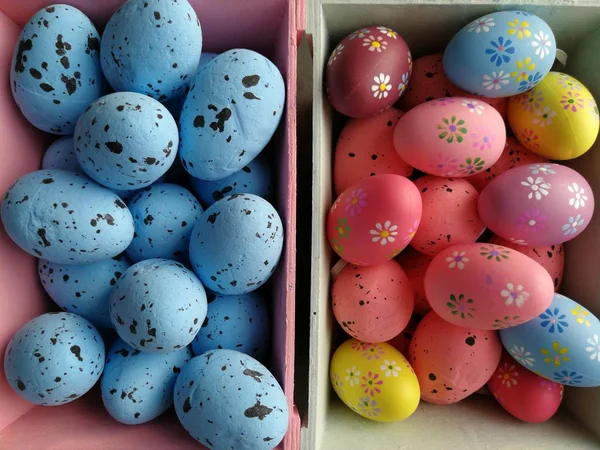 Color Easter Eggs Baskets — Stock Photo, Image