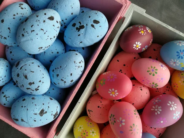 Color Easter Eggs Baskets — Stock Photo, Image