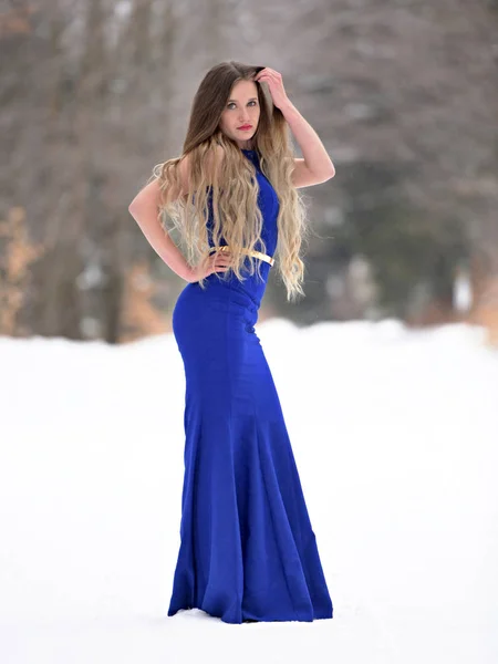 Портрет Красивой Молодой Женщины Синем Платье Позирующей Зимой Открытом Воздухе — стоковое фото