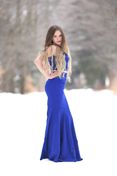 穿着蓝色衣服的年轻漂亮女子的画像 在冬天的室外摆姿势 白雪公主 — 图库照片
