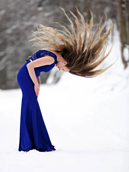 Retrato Bela Jovem Mulher Vestido Azul Posando Inverno Livre Rainha — Fotografia de Stock