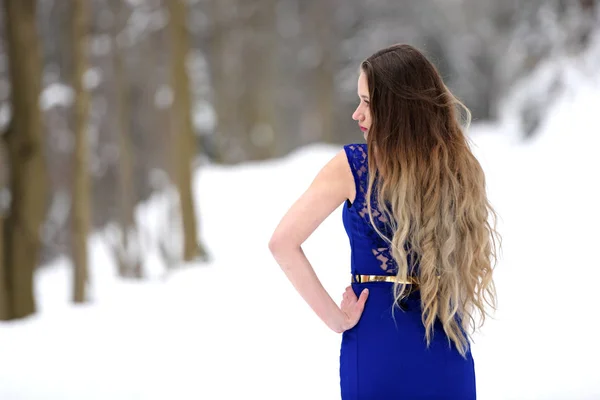 Portrait Belle Jeune Femme Robe Bleue Posant Hiver Extérieur Reine — Photo