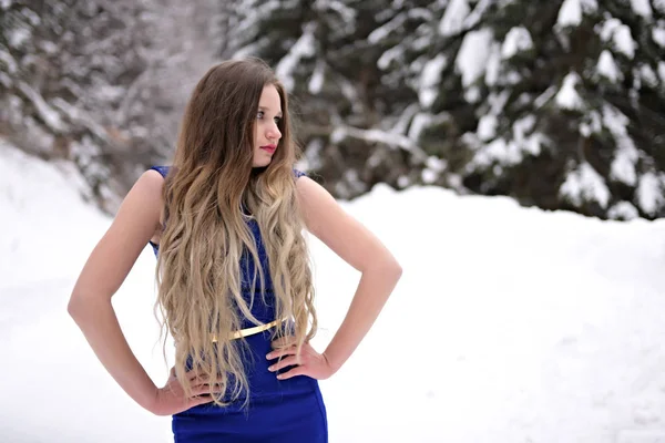 Portrét Krásné Mladé Ženy Modrých Šatech Pózující Zimě Venku Sněhová — Stock fotografie