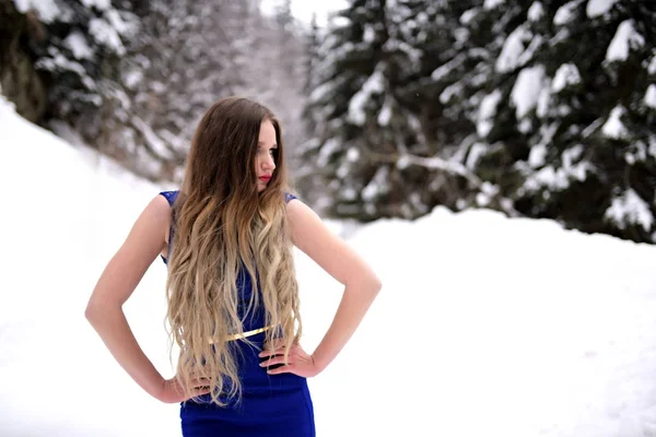 Retrato Bela Jovem Mulher Vestido Azul Posando Inverno Livre Rainha — Fotografia de Stock