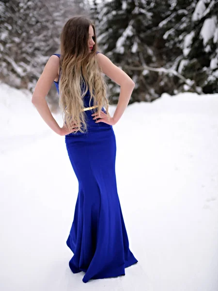 穿着蓝色衣服的年轻漂亮女子的画像 在冬天的室外摆姿势 白雪公主 — 图库照片