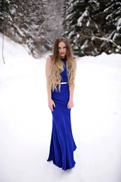 Porträtt Vacker Ung Kvinna Blå Klänning Poserar Vintern Utomhus Snödrottning — Stockfoto