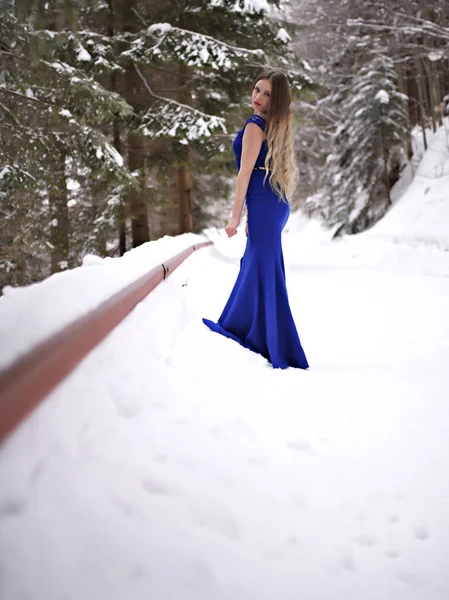 Retrato Bela Jovem Mulher Vestido Azul Posando Inverno Livre Rainha — Fotografia de Stock