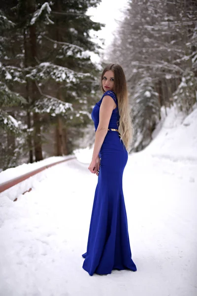 Portret Pięknej Młodej Kobiety Niebieskiej Sukience Pozującej Zimą Świeżym Powietrzu — Zdjęcie stockowe