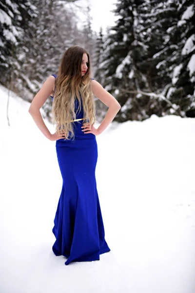 Retrato Una Hermosa Mujer Joven Vestido Azul Posando Invierno Aire —  Fotos de Stock