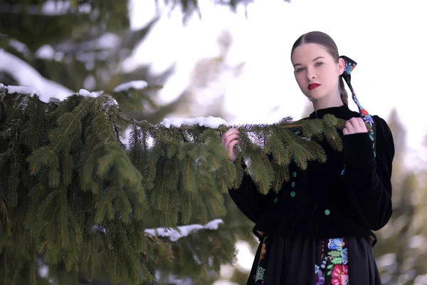 Szlovák Folklór Télen — Stock Fotó