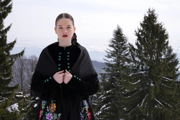 Словацького Фольклору Жінка Зимовий Період — стокове фото