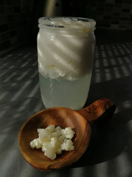 Tibetan Milk Mushroom特写 — 图库照片