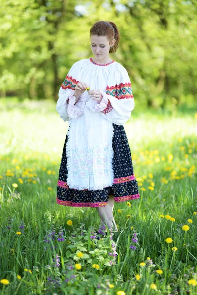 슬로바키아의 드레스 — 스톡 사진